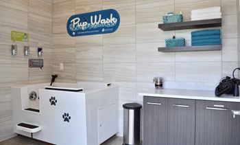 Pet spa bathing station